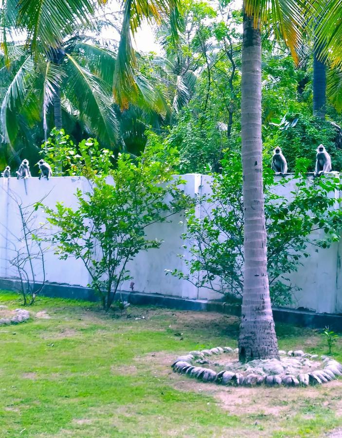 Pearl Oceanic Resort - Trincomalee Kültér fotó